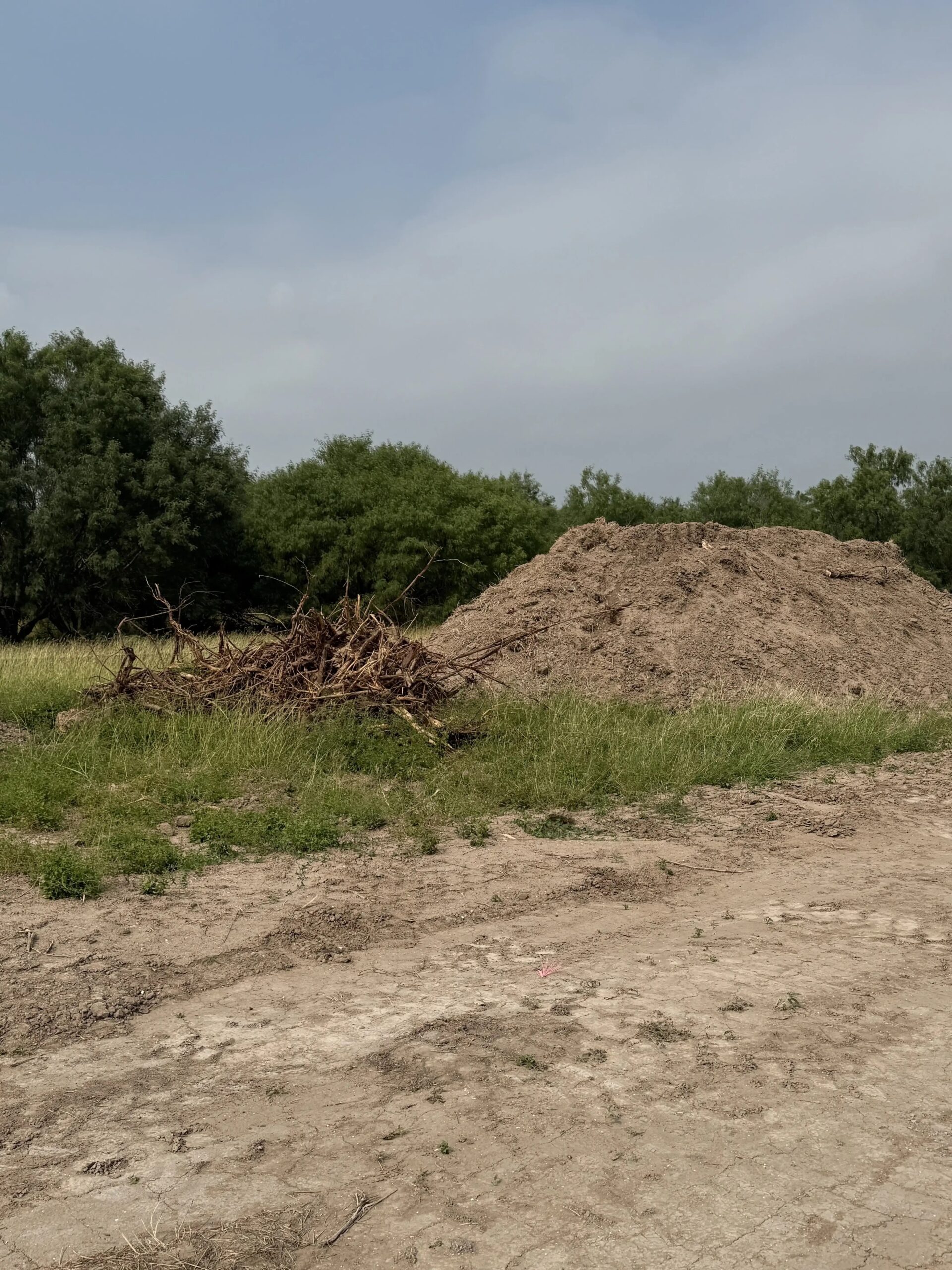 Pile of Brush and Dirt